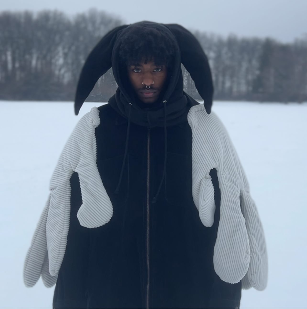 Hand held hooded scarf